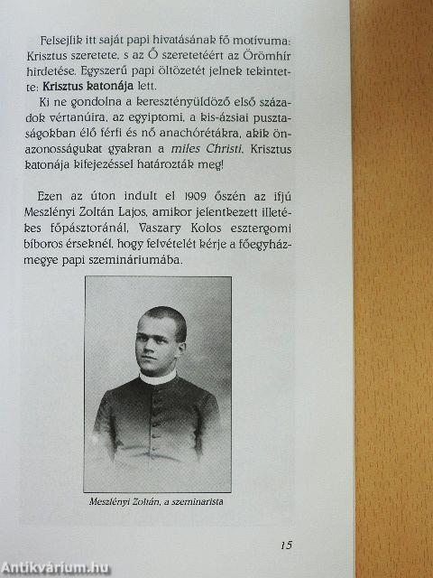 Ki volt Meszlényi Zoltán?