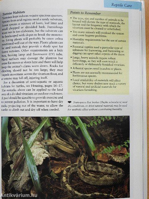 The Questions & Answers Manual of Reptiles and Amphibians