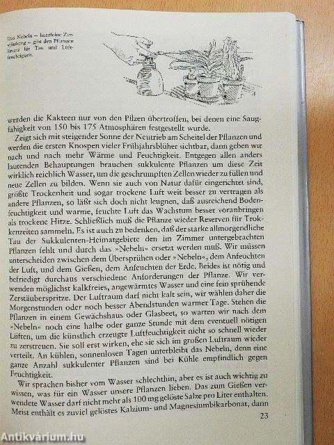 Das praktische Kakteenbuch in Farben