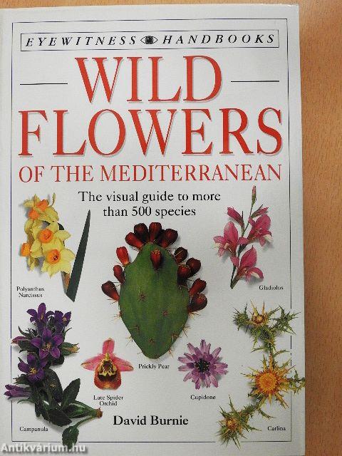 Wild Flowers of the Mediterranean