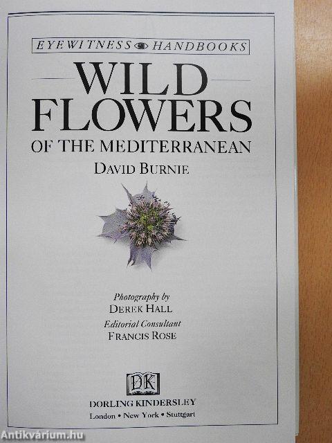 Wild Flowers of the Mediterranean