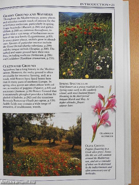 Wild Flowers of the Mediterranean