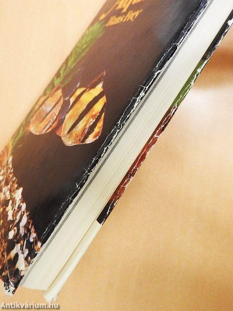 Das Süßwasser Aquarium