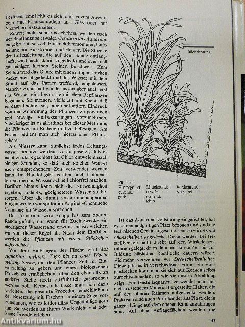 Das Süßwasser Aquarium