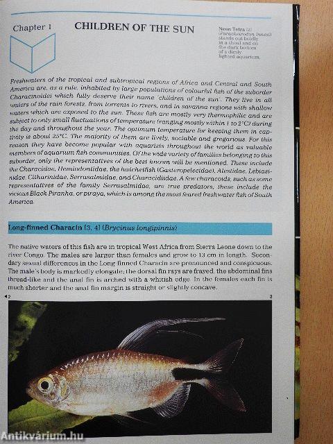 The Illustrated Encyclopedia of Aquarium Fish