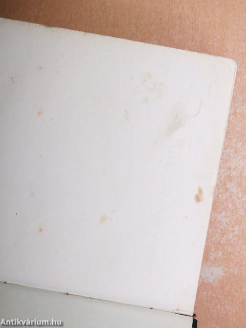 Magyar történet I-V.