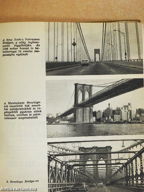 Felfedeztem Amerikát