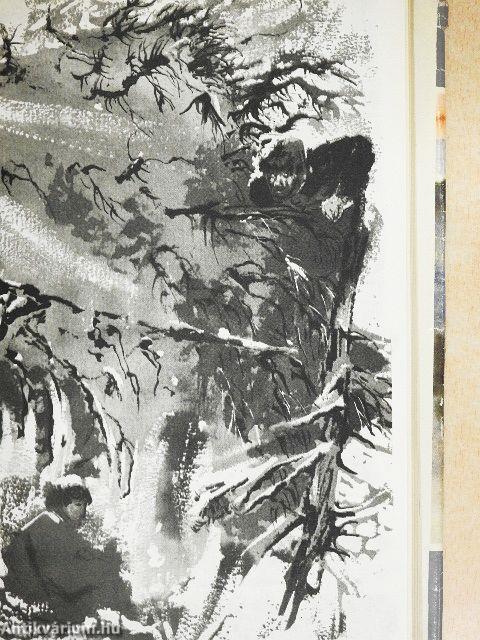 Három világrész csavargója