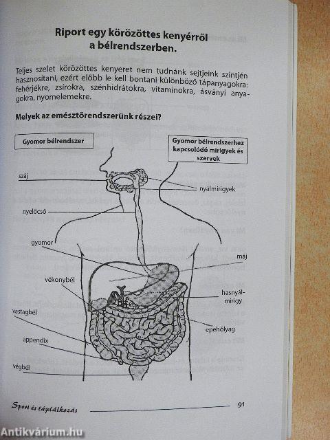 Sport és táplálkozás
