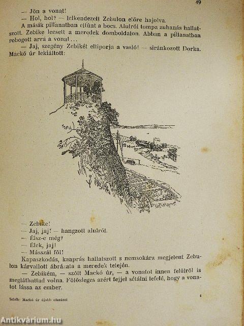 Mackó úr ujabb utazásai