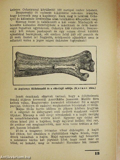 Magyar utazók Afrikában I-II. 