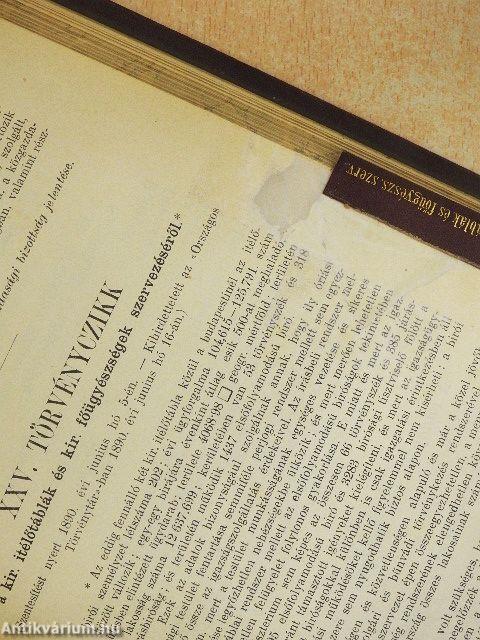 1890-dik évi országgyülési törvényczikkek