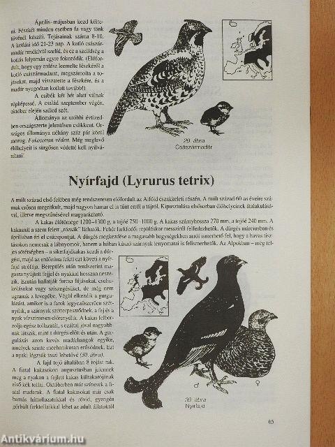 Vadászható és védett vadfajainkról