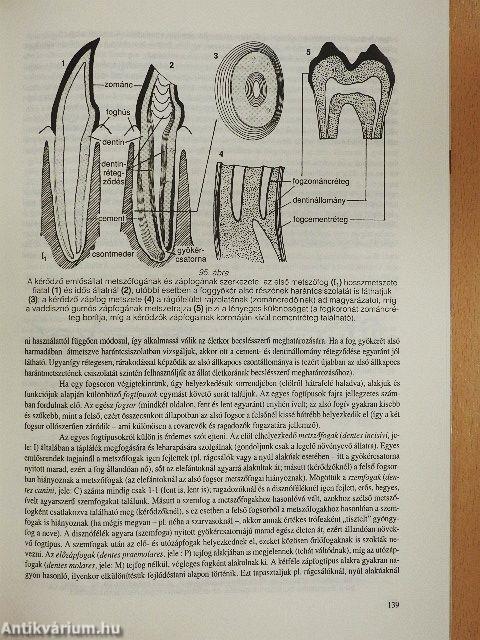 Vadászható és védett vadfajainkról