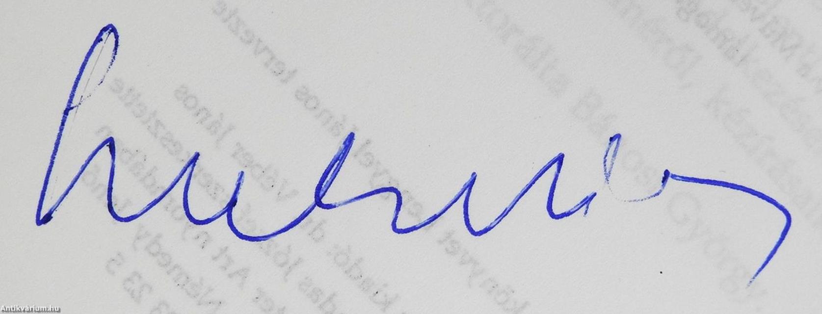 A Sátán helytartója (aláírt példány)