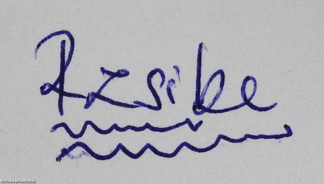 Fény kísérte évek (dedikált példány)