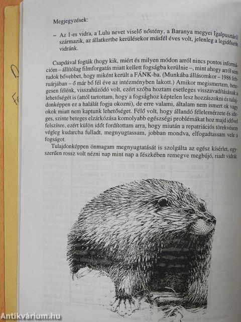 Szabadnak szülessenek-szabadon élhessenek... (dedikált példány)