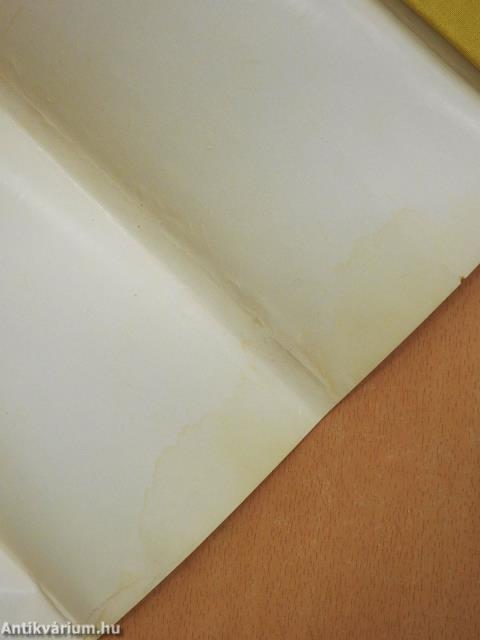 Folyó (dedikált példány)