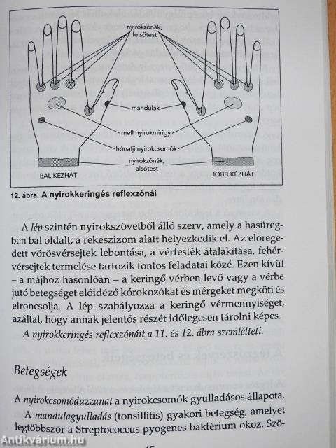 Kézreflexológia (dedikált példány)