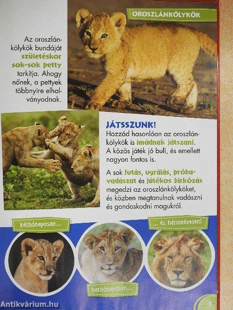 Disney Állati Szafari 1.