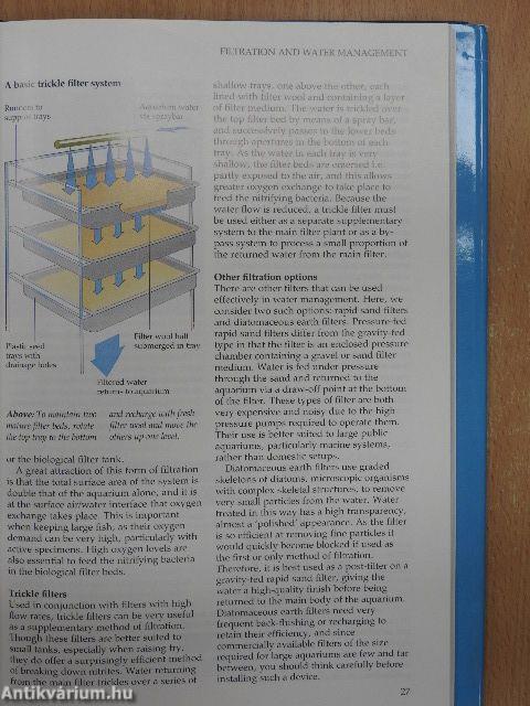 The Manual of Tank Busters