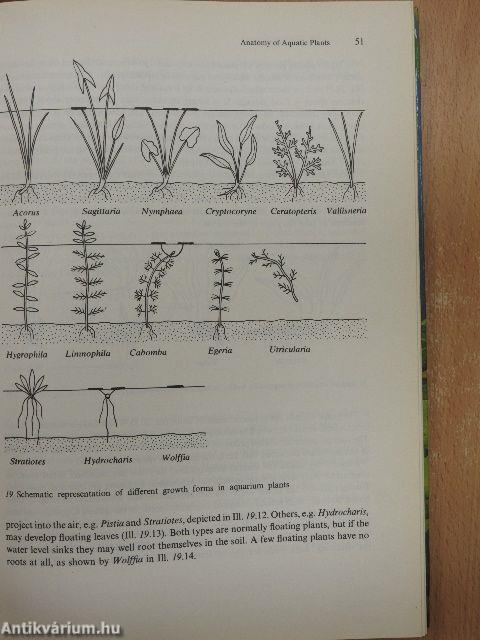 The Complete Guide to Water Plants