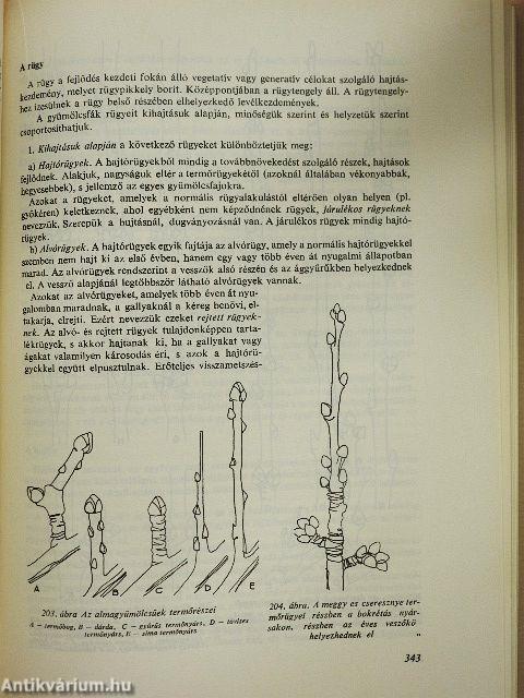 Kertészek új kézikönyve