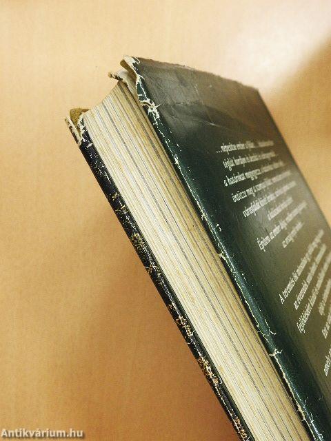 Betemetett nyomok, emlékek rönkje