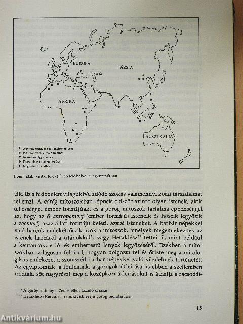 Betemetett nyomok, emlékek rönkje