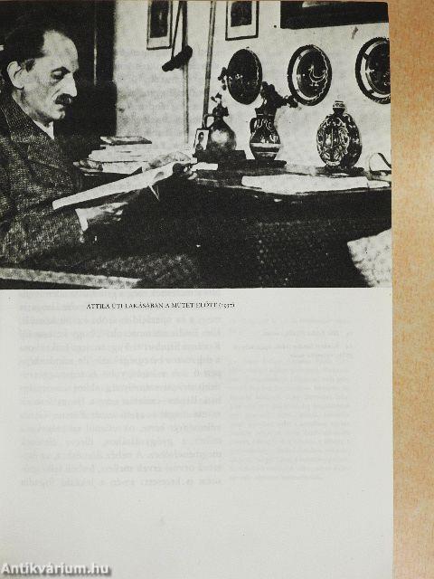 Babits Mihály beszélgetőfüzetei I.