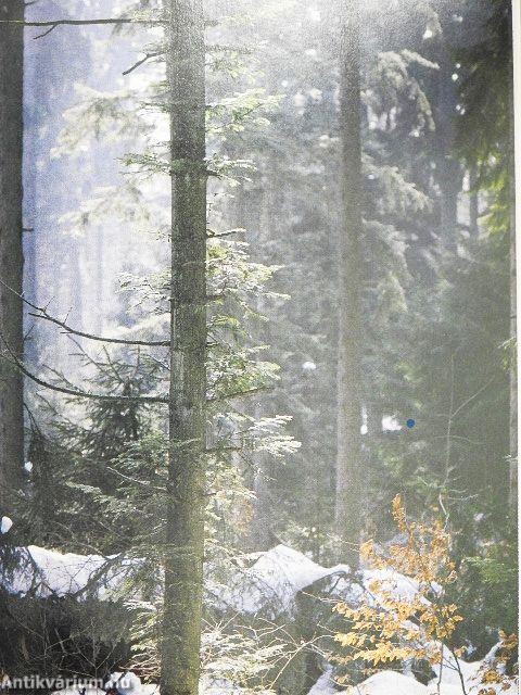 Wir Bergler haben Weitblick