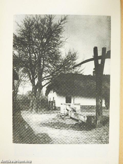 Endre Ady 1877-1919