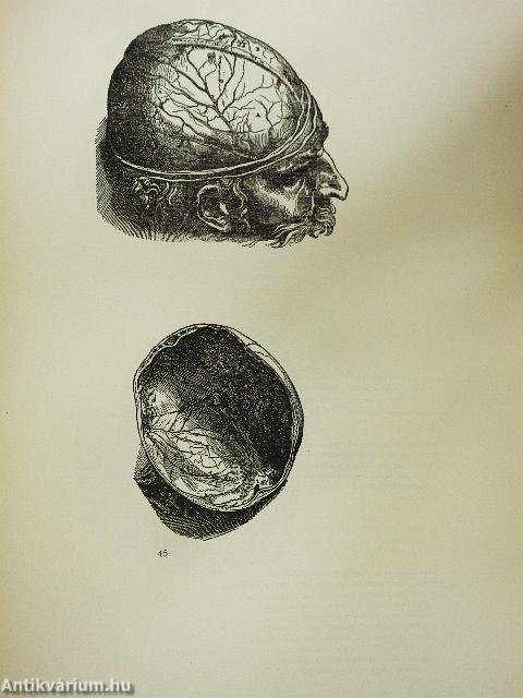 De humani corporis fabrica