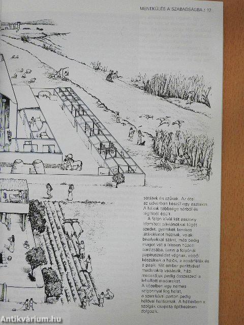 A Biblia világa
