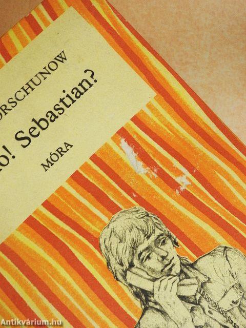 Halló! Sebastian?
