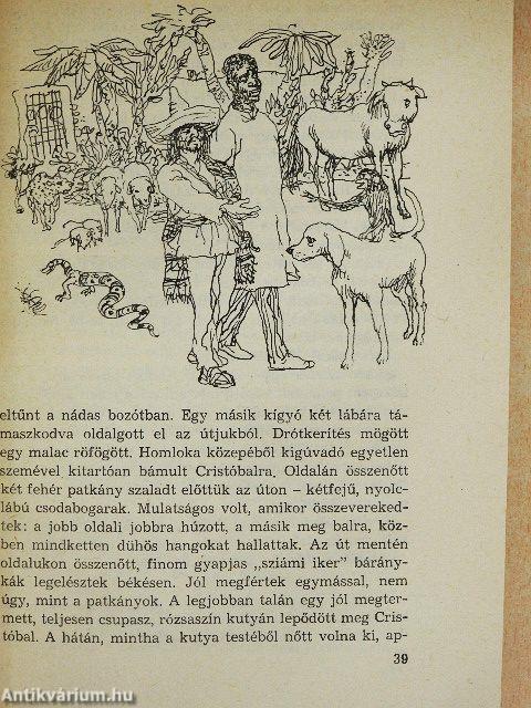 A kétéltű ember