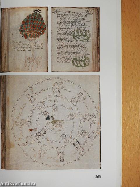 Konteó 1 (dedikált példány)