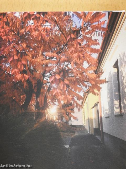 LéleKöltő (dedikált példány)