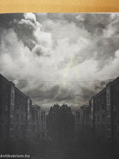 LéleKöltő (dedikált példány)