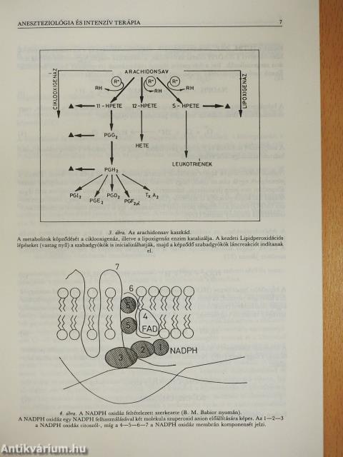 Aneszteziológia és intenzív terápia 1993. január-március (dedikált példány)
