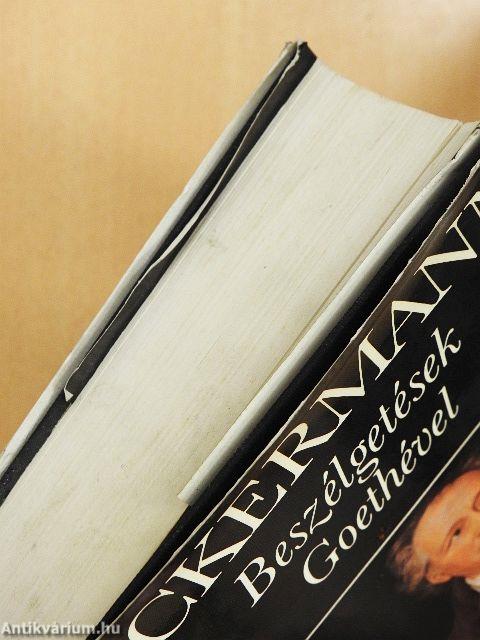 Beszélgetések Goethével