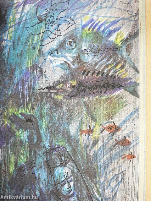 Utazás Faremidóba/Capillária