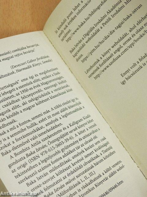 Baka István és Martin Heidegger találkozása a Molnár és a Tápai utca sarkán