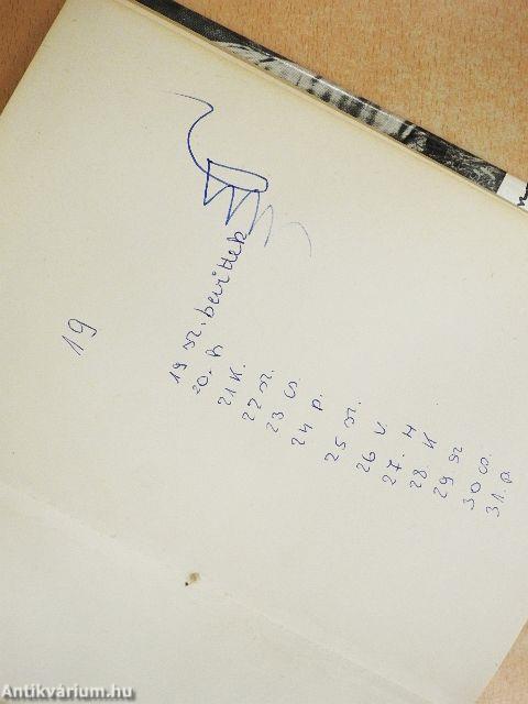 Salamon király gyűrűje