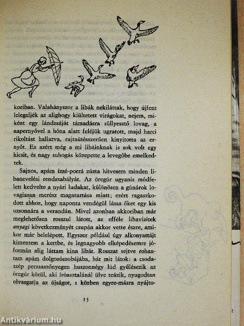 Salamon király gyűrűje