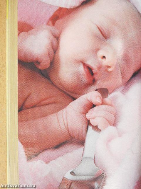 Babatáplálás kézikönyve