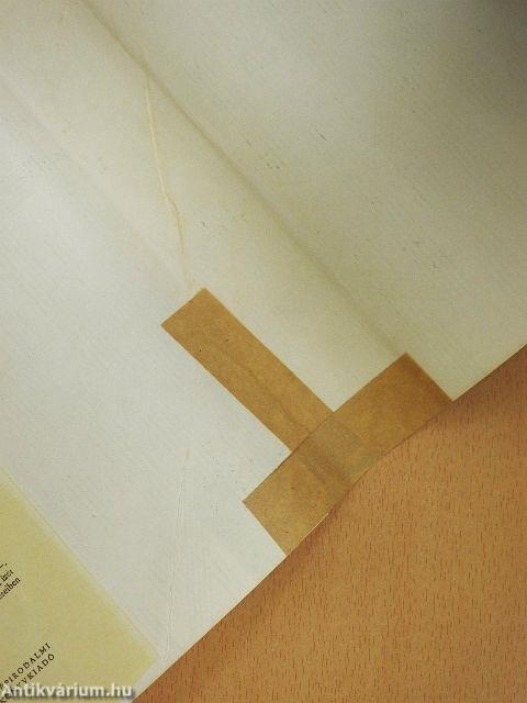 Hűvös csillagok alatt