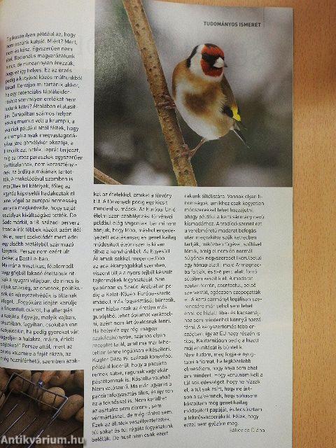 TV Paprika Magazin 2013. október