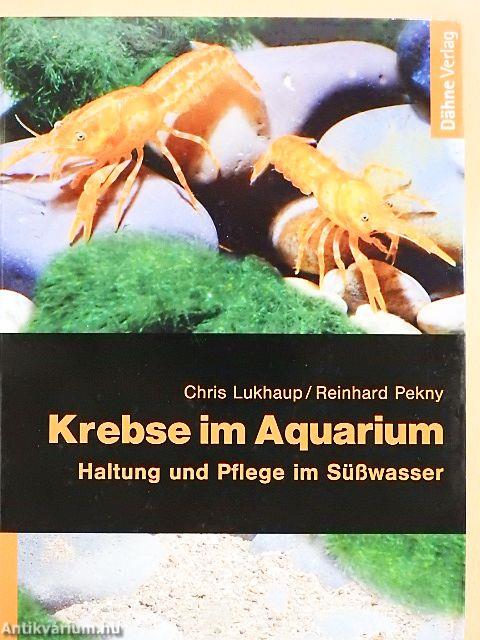Krebse im Aquarium