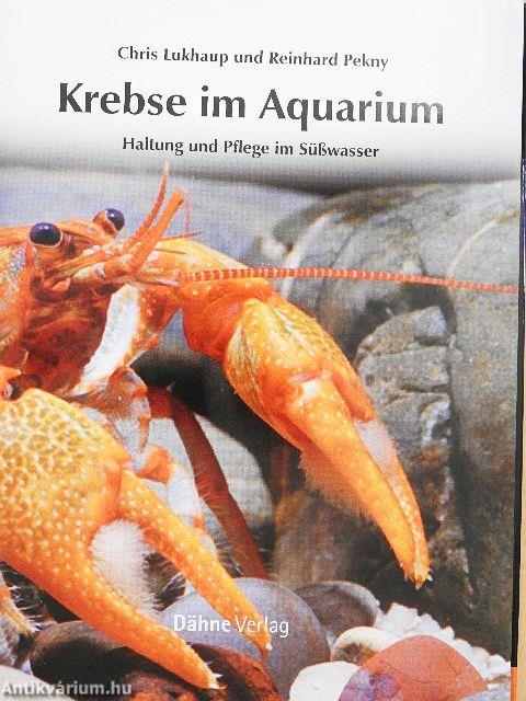 Krebse im Aquarium